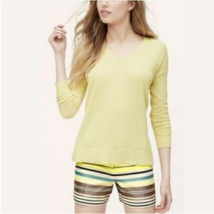 LOFT The Rivera Short Striped Shorts (Size 2)